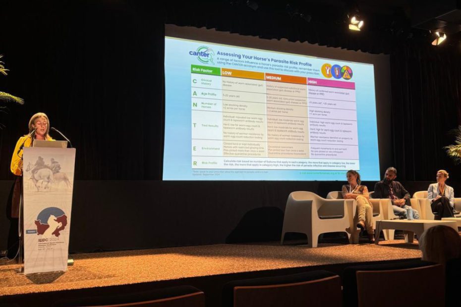 Alison Pyatt presents at the IEIDC